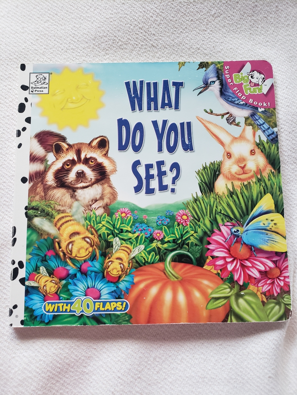 What Do You See? Children's Lift A Flap Board Book
